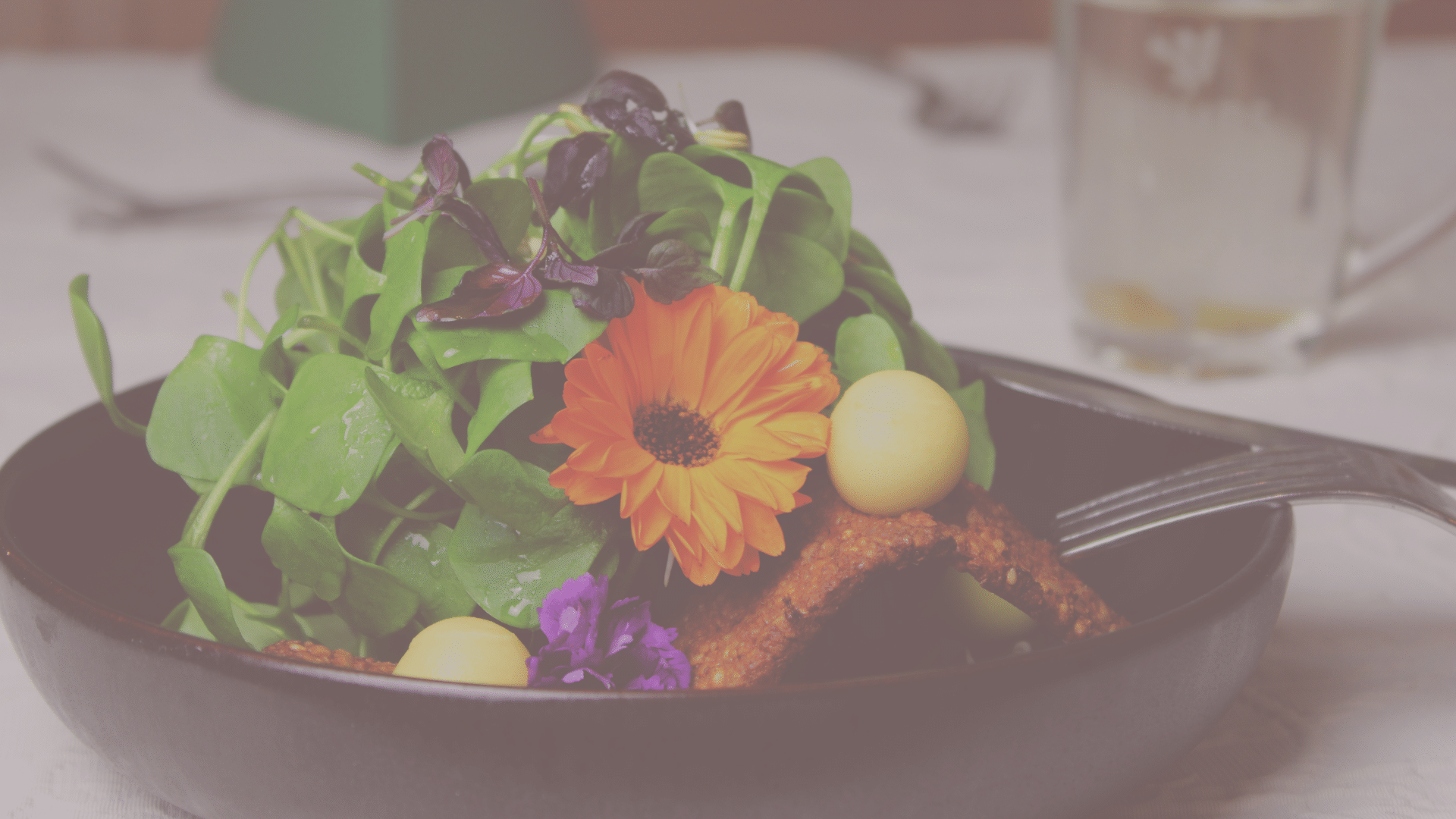 vegane kost detox kur 3 tage im vulkanhotel steffelberg in der eifel