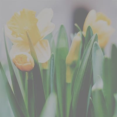 feiertage saison angebote ostern vulkanhotel steffelberg eifel