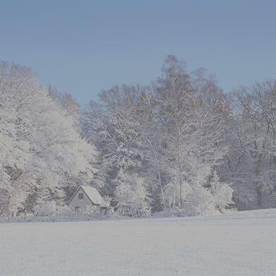 feiertage saison angebote weihnachten vulkanhotel balance seflness steffeln hotel steffelberg eifel