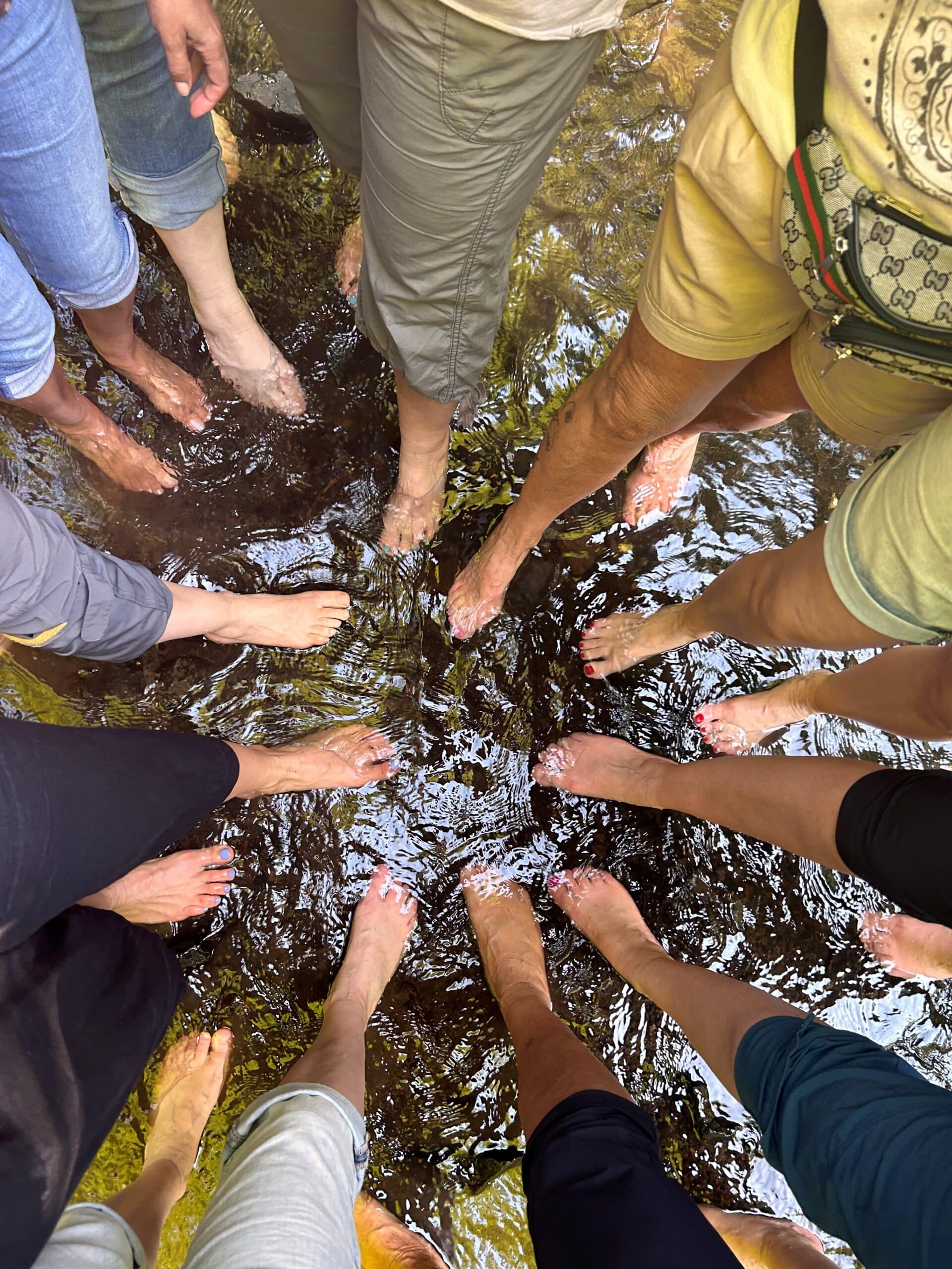 viele füße im bach